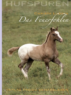cover image of Das Feuerfohlen